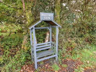 A small wooden shelter bench with a roof and a sign saying Buzzard View in a wooded area
