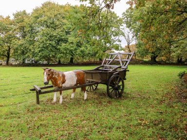 A wooden cart with a horse figure in a grassy field with trees in the background at Barn 3 Cwm-twrch Isaf near Ystradgynlais