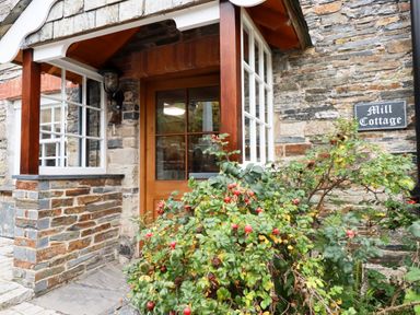 An entrance door with windows on both sides and a bush with red berries outside at Mill Cottage in St Neot