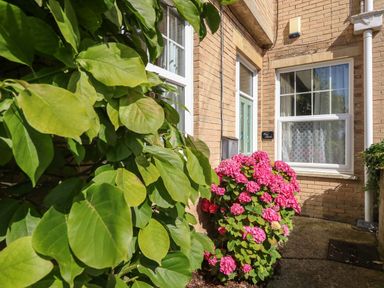 An exterior view of a brick house entrance with green leaves and pink flowers at Blue Yonder in Weymouth