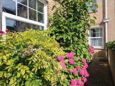 A garden pathway with green shrubs and pink flowers beside brick houses with windows at Blue Yonder in Weymouth