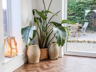 A corner with a large houseplant in a woven basket next to two beige ceramic pots and a wooden lantern on the windowsill near a glass door showing an outdoor patio at Meadowfields in Whitby