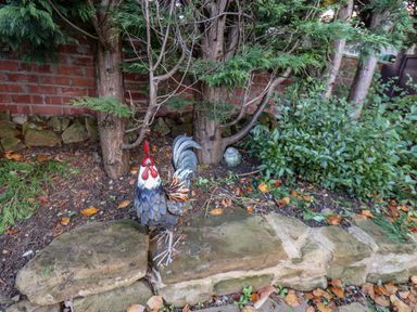 Garden area with a metal rooster decoration trees and shrubs behind a stone border at Meadowfields in Whitby