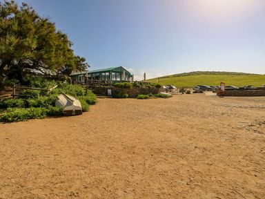 An outdoor area with a sandy ground, green plants, a boat, a greenhouse structure, cars parked near a stone wall, and a grassy hill in the background at Alices Cottage in Burton Bradstock
