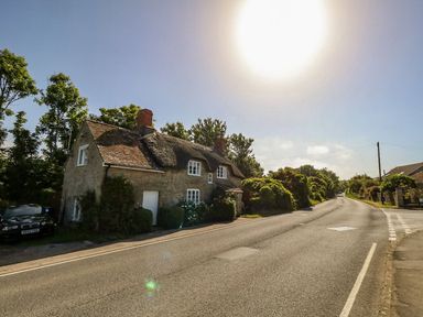 A thatched roof cottage beside a road with trees and bushes at Alice's Cottage in Burton Bradstock