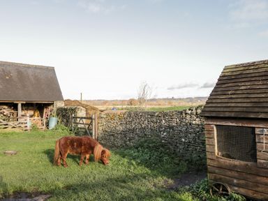 A small brown pony grazing on grass in a fenced yard with stone walls and wooden outbuildings at Stable Cottage in Moreton-In-Marsh