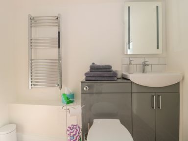 A bathroom with a toilet, grey cabinet, sink, mirror, towel rack, and tissue box at The Potting Shed in Combe near Langport