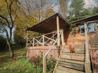 A wooden cabin with a covered porch and stairs with a chicken on the steps surrounded by trees and plants at Pear Tree Lodge in Combe near Langport