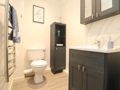 A bathroom with a toilet a black storage cabinet a sink vanity with a mirror cabinet and a towel on a heated towel rail at Manuka in Falmouth