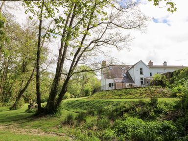 A white house with a sloped roof surrounded by trees and greenery at Glanduad Fawr in Newport Pembrokeshire