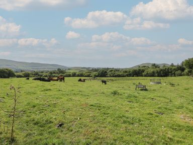 A grassy field with cows grazing under a partly cloudy sky at Tarrenhendre Pod in Llanegryn near Tywyn
