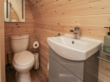 A small bathroom with a toilet sink and wood panel walls at Tarrenhendre Pod Llanegryn near Tywyn