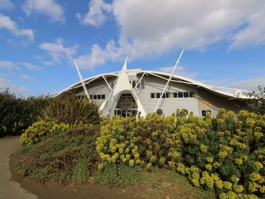 A modern building with a curved roof and white structural supports surrounded by bushes with yellow flowers at Dinosaur Isle in Sandown