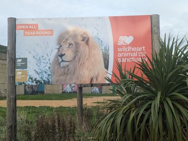 A sign with a lion image and text for wildheart animal sanctuary isle of wight outdoors