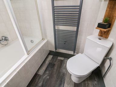 A bathroom with a toilet a bathtub with a glass screen a heated towel rail and a small plant on a wooden shelf at Lakeside 12 in Carnforth
