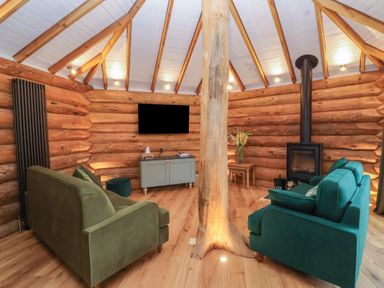 A living room with green and teal sofas a wood stove a television on a wooden wall and a central wooden pillar at Copper Lodge in Chulmleigh