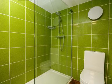 A bathroom with a shower, toilet, and sink at White House