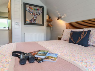 A bedroom with a bed with patterned bedding binoculars and books on bed a framed deer painting on wall at Yes Deer in Ashbourne