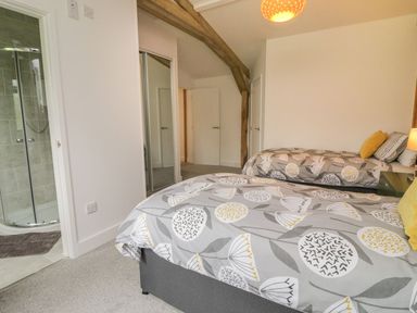 A bedroom with two single beds a mirrored wardrobe wooden beams and an en suite shower room at Windy Willows in Okehampton