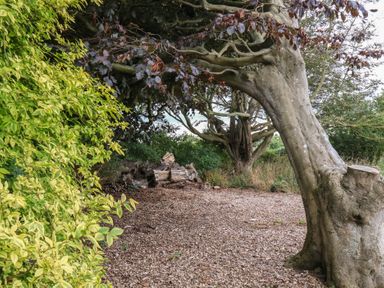 A garden with trees and logs at Guillemot in Flamborough
