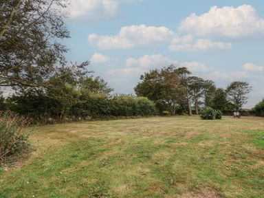 A garden area with grass and trees at Guillemot in Flamborough