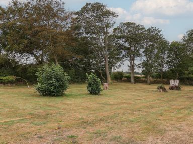 A garden with trees and bushes at Guillemot in Flamborough