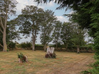 A garden with trees and stumps at Guillemot in Flamborough