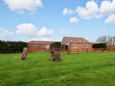 A house with a fence and tree stumps in an outdoor area at Guillemot in Flamborough