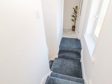 A staircase with blue carpet leading up to a hallway with white walls and a potted plant near a white door at Hillside Hideaway in Wigton