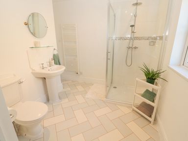 A bathroom with a toilet sink and shower with towels and a plant on a stand at Hillside Hideaway in Wigton