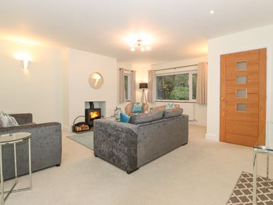A living room with sofas a wood burning stove and a wooden door at Tandarra in Keswick