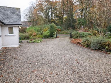 A gravel driveway leading to a road with trees and shrubs on both sides at Tandarra in Keswick