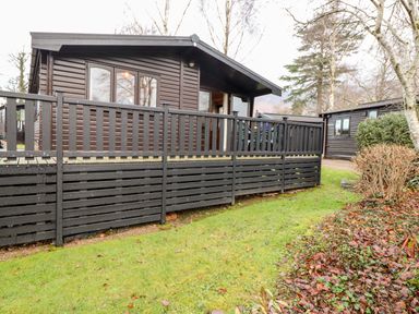An exterior view of a wooden cabin with a black wooden deck railing and grass and bushes around Latrigg Lodge Number 9 Burnside Park near Keswick
