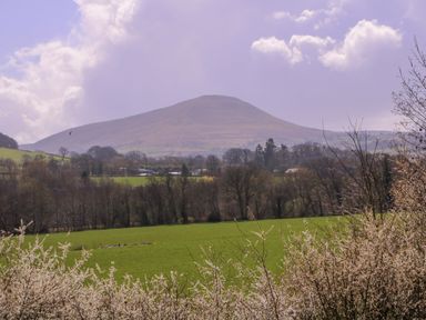 A view of a mountain in the background with trees and a field at Country Cottage in Brecon