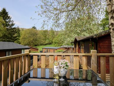 A balcony with a glass table holding a bottle of wine two wine glasses and a potted plant overlooking wooden lodges and trees at Hill Lodge in Applethwaite 2 Limefitt Park near Windermere