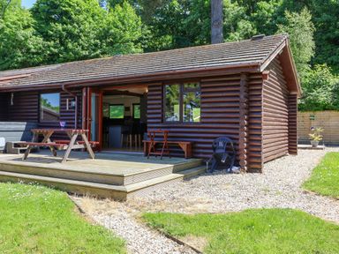 A wooden cabin with an open door leading to the interior and a picnic table on a wooden deck at Bay Tree Lodge 35 Watermouth near Berrynarbor
