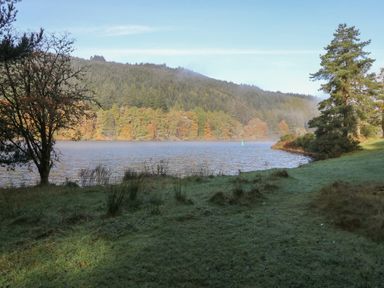 A lakeside view with grass and trees along the shore and forested hills in the background at 27 Invergarry Lodges in South Laggan near Invergarry