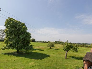 A grassy field with several trees power lines and part of a building roof at Little Owl Barn in Upton Snodsbury