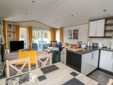 A kitchen and living area with a dining table, sofas, a television, yellow curtains, and wall art at 95 Hafan Taffy in Gilfachrheda near Llanarth