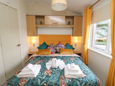 A bedroom with a bed with colorful pillows and tiger print bedding at 95 Hafan Taffy in Gilfachrheda near Llanarth