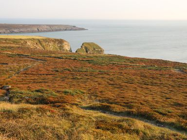 A coastal landscape with grassy cliffs and a calm sea at Corrie Knowe in Trearddur Bay