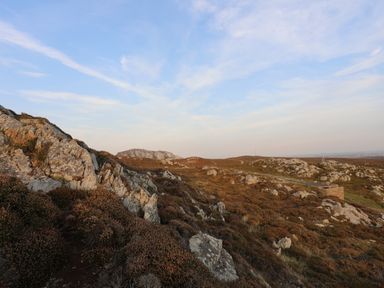 A rocky hillside with scattered bushes under a blue sky at Corrie Knowe in Trearddur Bay