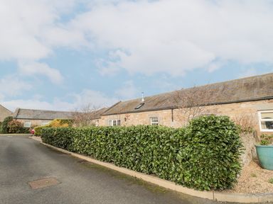 A driveway with trimmed hedges in front of a stone building with slate roof at Little Tern in Seahouses