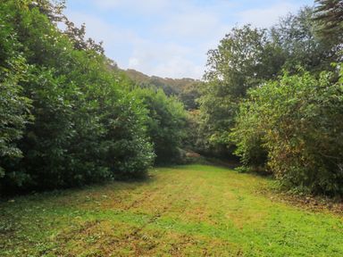 A grassy clearing surrounded by trees and bushes at Harveys House in Helston