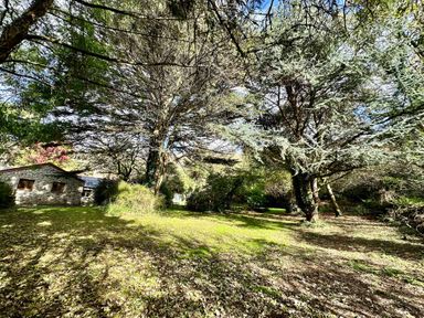 A garden area with trees and a stone building in the background at Harveys House in Helston