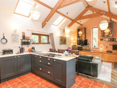 An open-plan kitchen and living area with dark cabinets orange tiled floor exposed wooden beams and a television at Harveys House in Helston