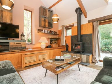 A living room with a wood stove a coffee table bookshelves and a television at Harveys House in Helston