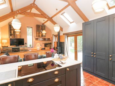 An open kitchen and living room with dark cabinets a stove and wooden beams at Harveys House in Helston