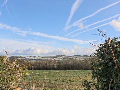 A grassy field bordered by trees with hills in the background under a blue sky at Capel Park (Tyddynod Bach) in Llandyfrydog near Llanerchymedd
