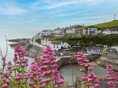 A coastal village with houses near a harbor and pink flowers in the foreground at Chy Lowen in Porthleven
